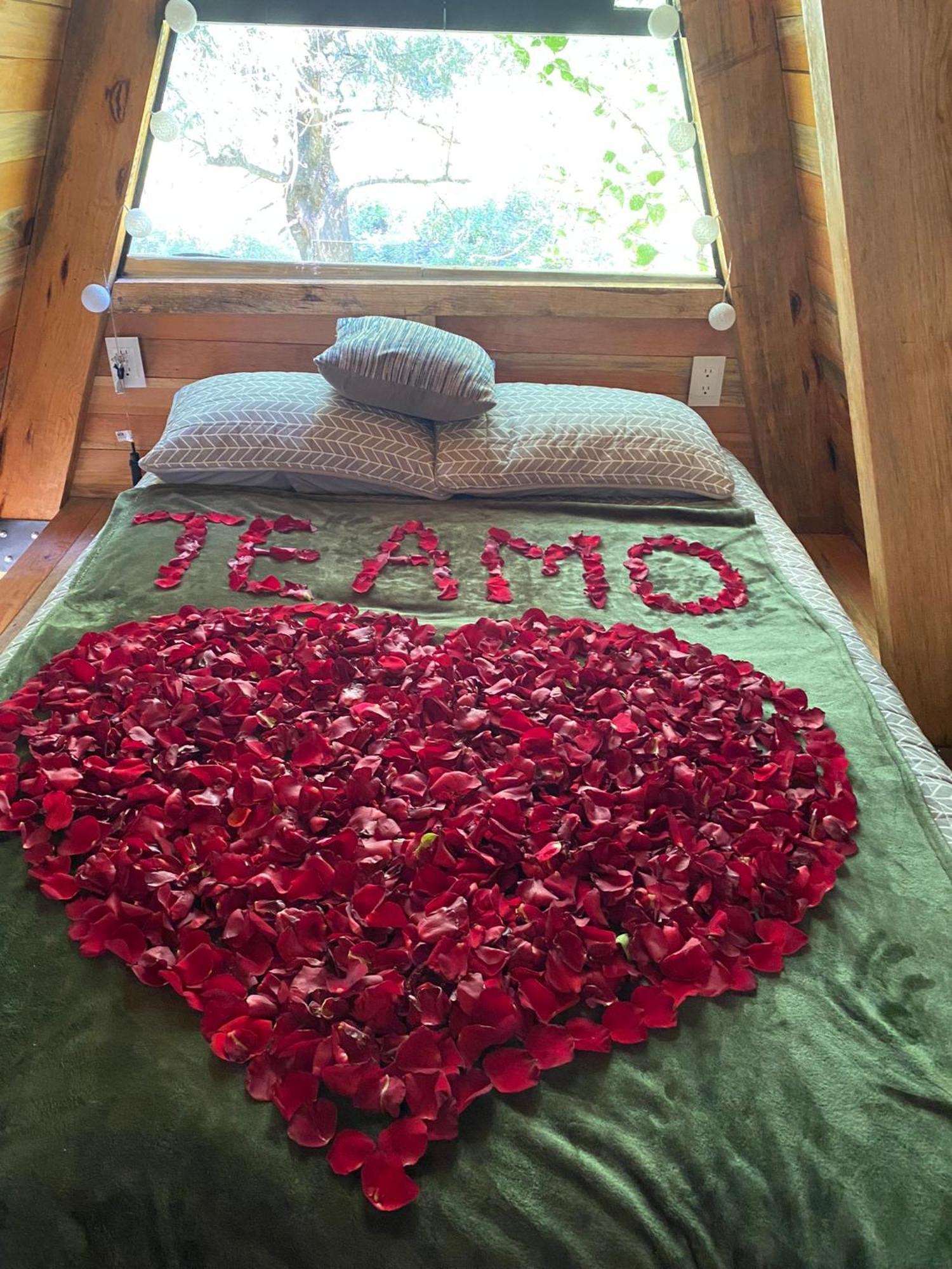 Cabanas Alpina, Romantica Y Acogedora A 10 Minutos Del Centro Tepoztlan Εξωτερικό φωτογραφία