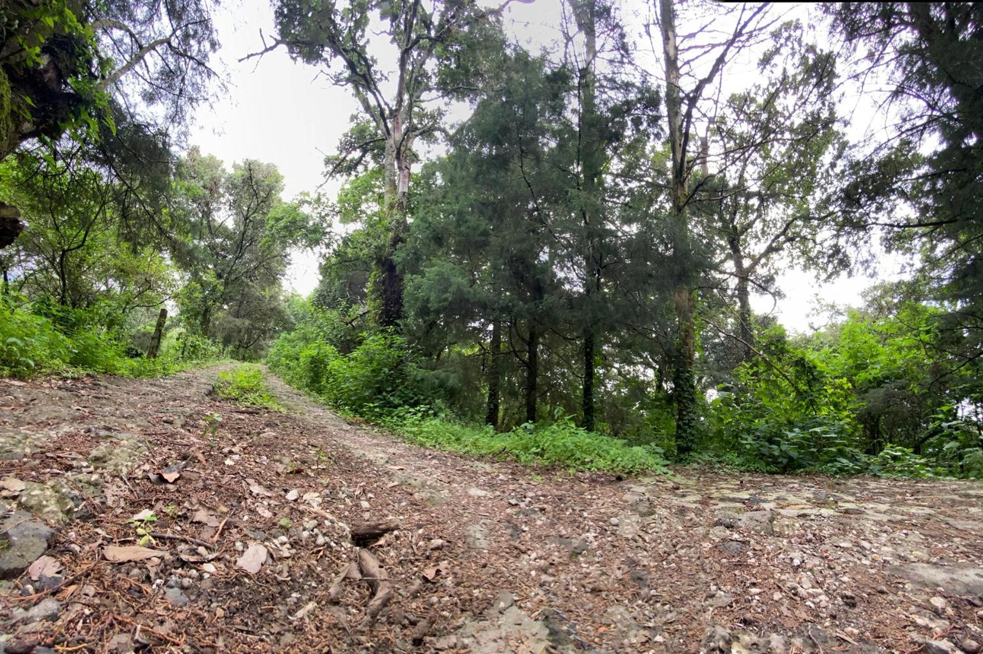 Cabanas Alpina, Romantica Y Acogedora A 10 Minutos Del Centro Tepoztlan Εξωτερικό φωτογραφία
