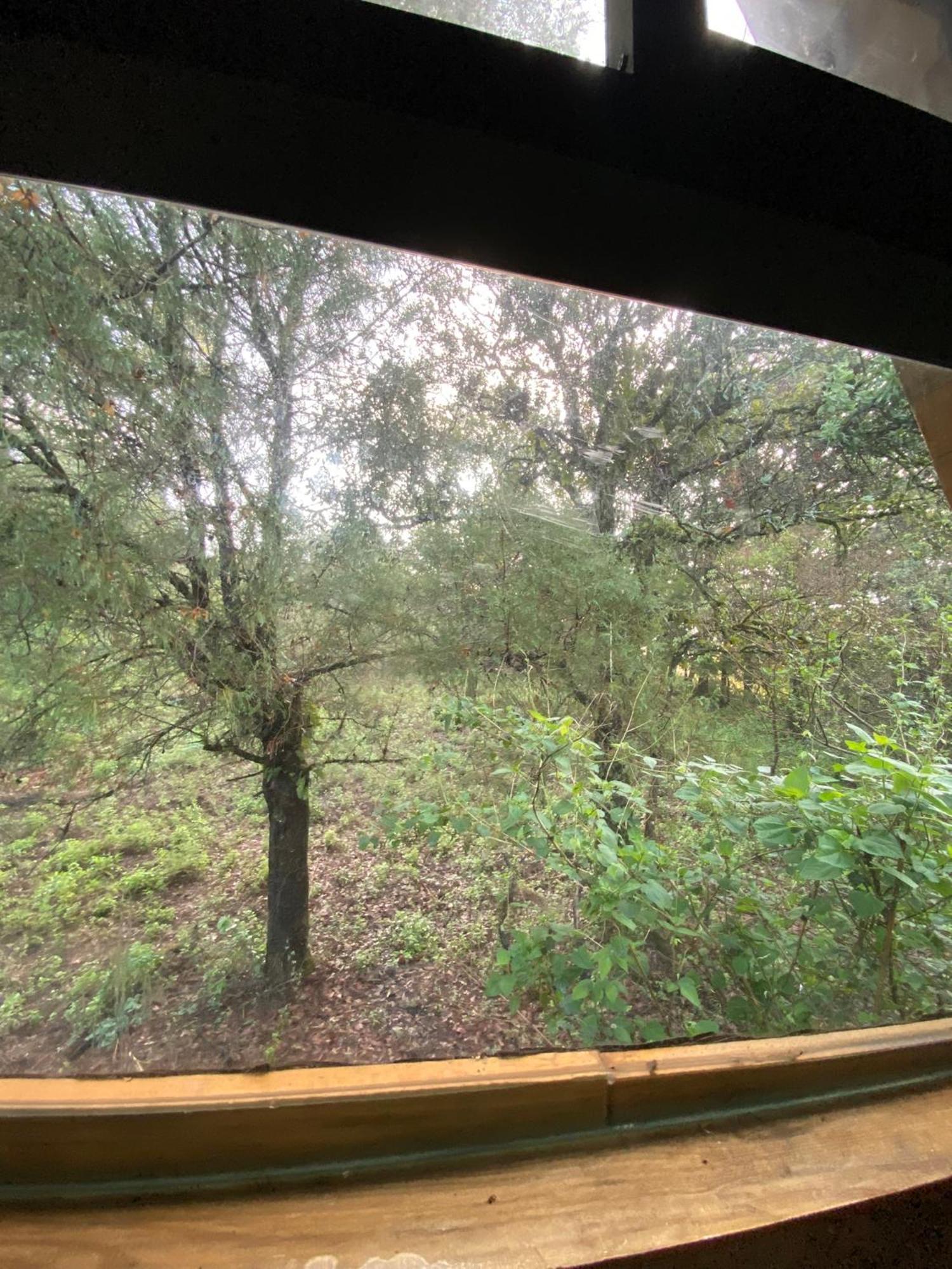 Cabanas Alpina, Romantica Y Acogedora A 10 Minutos Del Centro Tepoztlan Εξωτερικό φωτογραφία