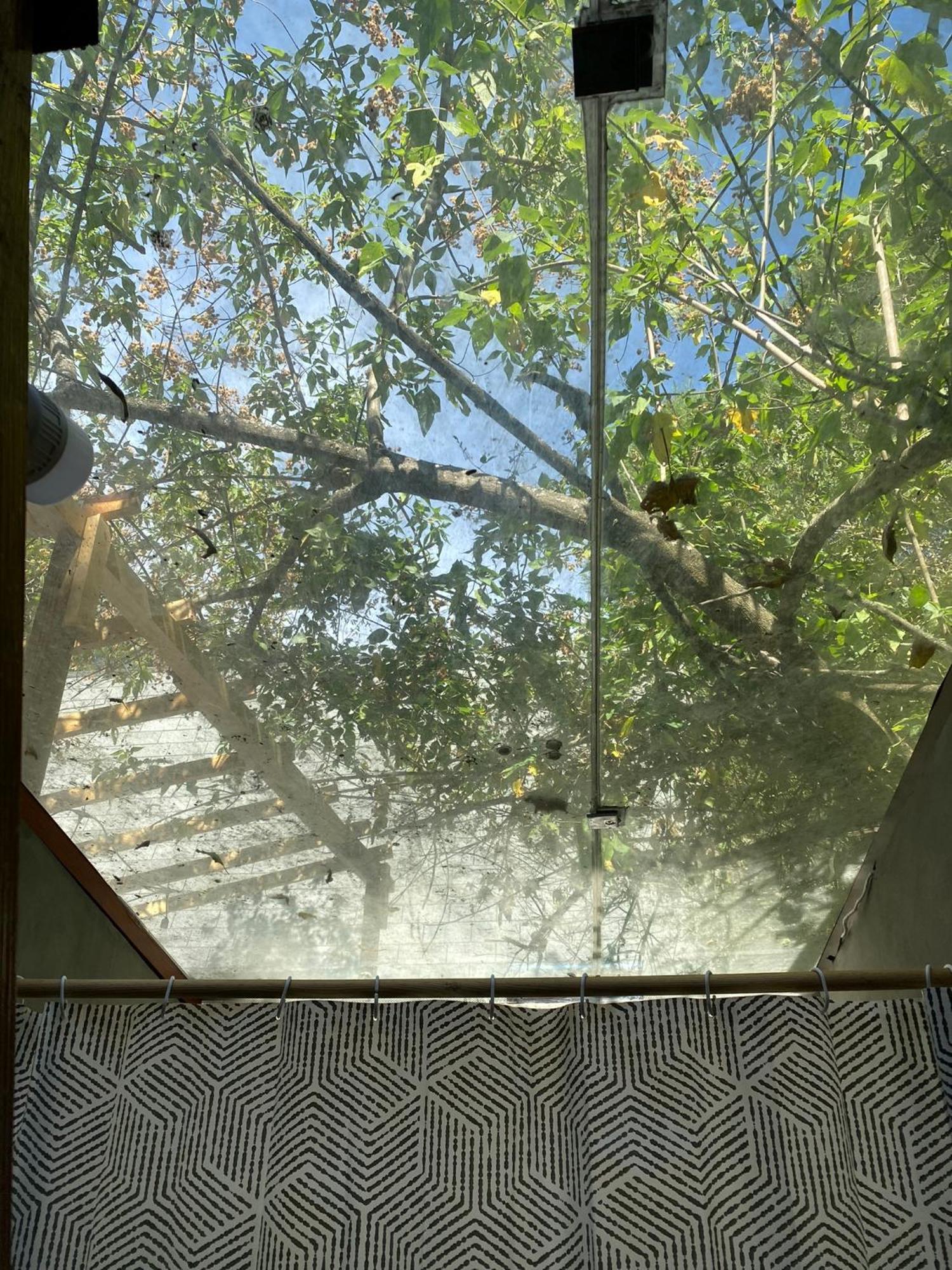 Cabanas Alpina, Romantica Y Acogedora A 10 Minutos Del Centro Tepoztlan Εξωτερικό φωτογραφία