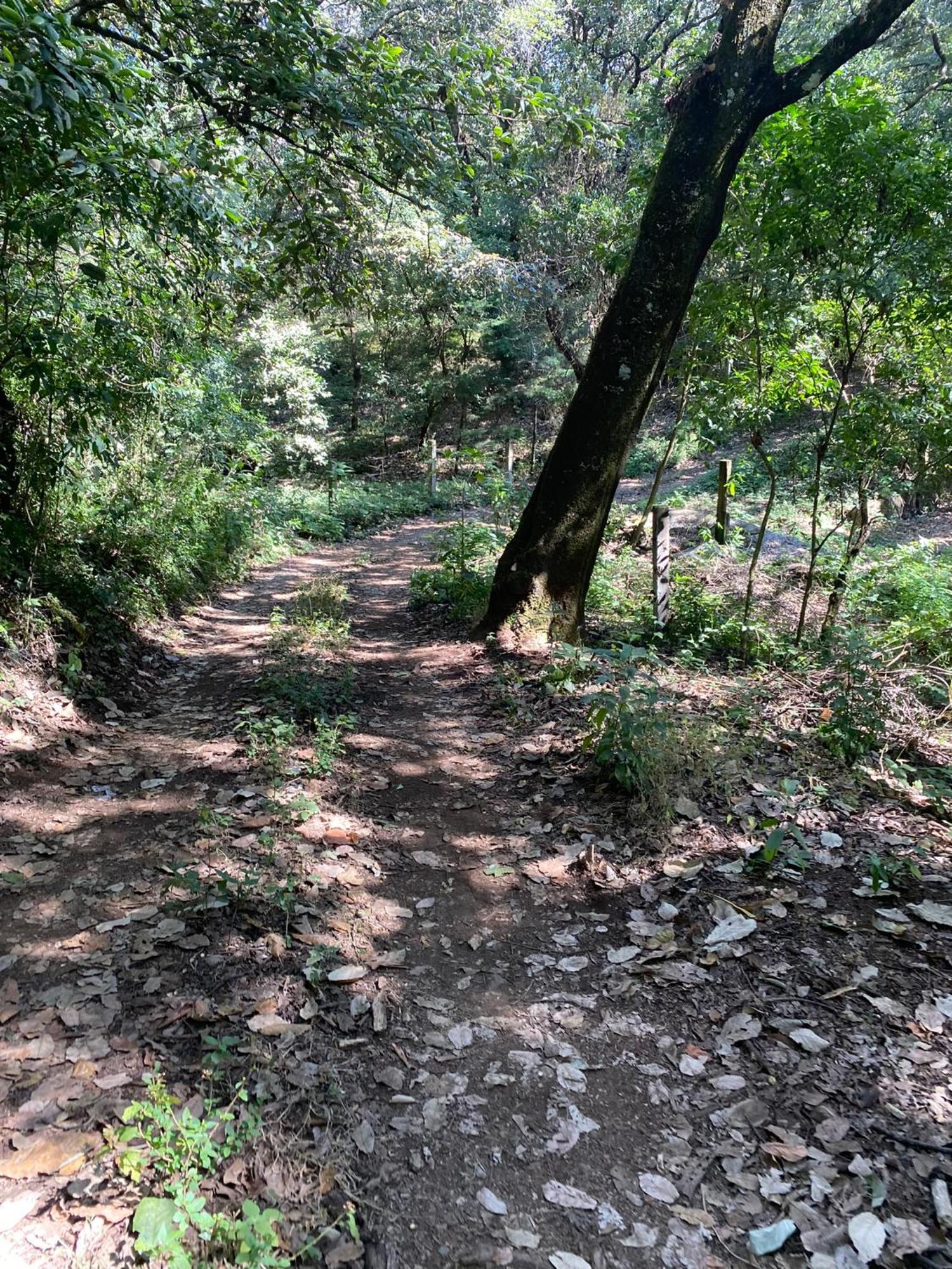 Cabanas Alpina, Romantica Y Acogedora A 10 Minutos Del Centro Tepoztlan Εξωτερικό φωτογραφία